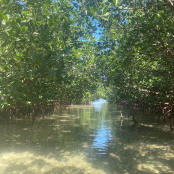 I Can See Clear Kayaking - Rafting/Kayaking Near Me - Islamorada, Florida I Can See Clear Kayaking - Rafting/Kayaking Near Me - Islamorada, Florida
