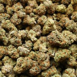 Oregon Weedery - Girl Scout Cookies