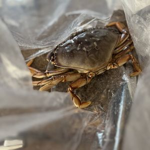 FOODMAXX - Updated December 2024 - 60 Photos & 84 Reviews - 13220 San