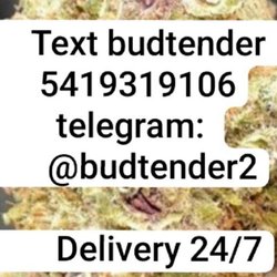 Erudito Cannabis Boutique