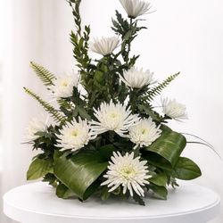 Flowers Plus of Elk River - White Tribute