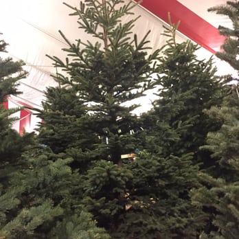 Blake's Christmas Tree Lot - So cool! - Christmas Trees Near Me - Dana Point, California Blake's Christmas Tree Lot - So cool! - Christmas Trees Near Me - Dana Point, California