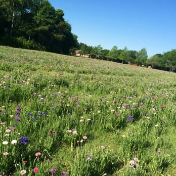 Crowley Park - Parks Near Me - Richardson, Texas