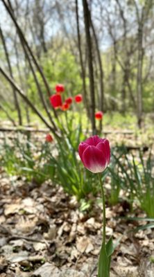 Riverview Orchards by null