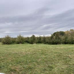 Orchards