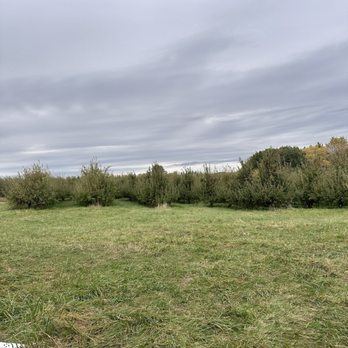 Eplegaarden - Orchards - Pick Your Own Farms Near Me - Fitchburg, Wisconsin