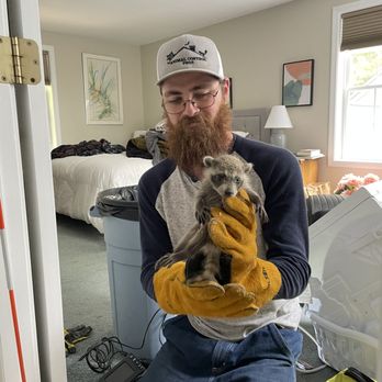 Animal Control Pros - Wildlife Control Near Me - Lebanon, Maine Animal Control Pros - Wildlife Control Near Me - Lebanon, Maine