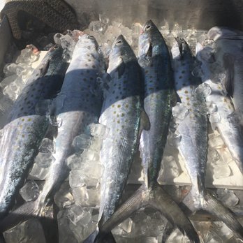 Hot Spots Charters - Fishing Near Me - Pensacola Beach, Florida Hot Spots Charters - Fishing Near Me - Pensacola Beach, Florida