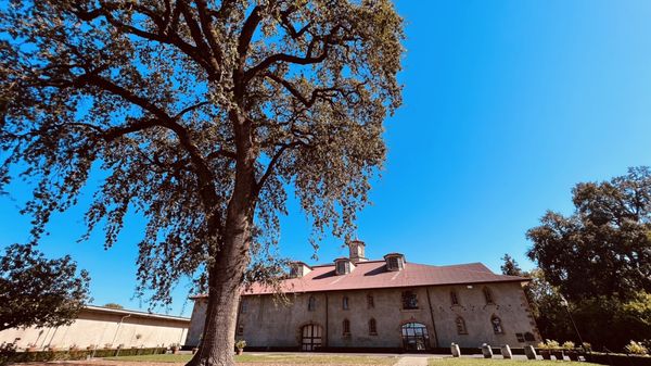 Charles Krug Winery by null