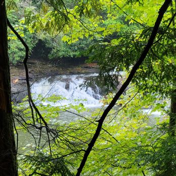 Swallow Falls State Park - Along the trail - Parks Near Me - Oakland, Maryland