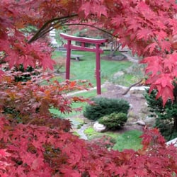 Schedel Arboretum & Gardens - Fall in the Gardens is one of the best times to go!
