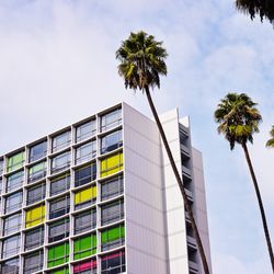 The LINE LA