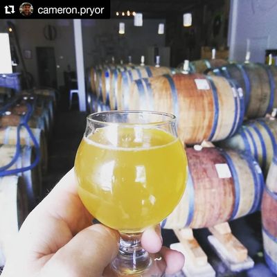 California Wild Ales by null