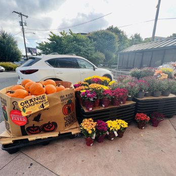 Trader Joe's - First day of Fall 2023 - Grocery Near Me - Seattle, Washington Trader Joe's - First day of Fall 2023 - Grocery Near Me - Seattle, Washington
