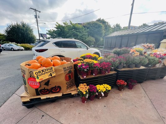 Trader Joe's by null