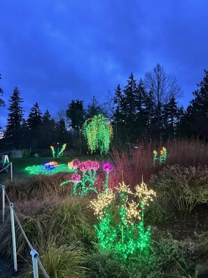 Garden d’Lights by null