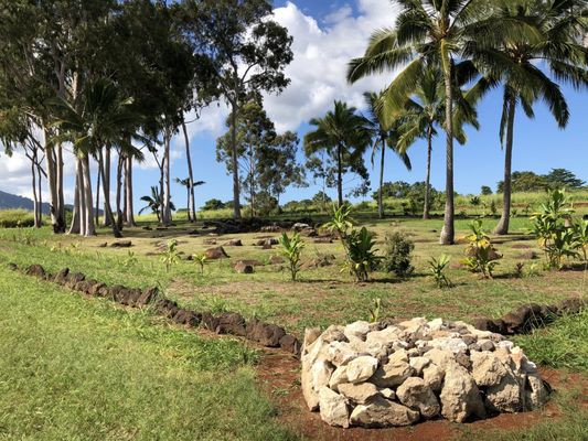 Kukaniloko Birth Stones by null