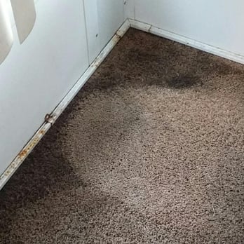 Cascade Cleaning Services - We do nasty rentals.  One clean pass. - Carpet Cleaning Near Me - Meridian, Idaho