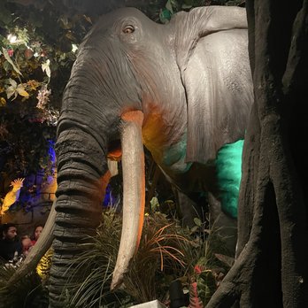 Rainforest Cafe - American Near Me - San Antonio, Texas