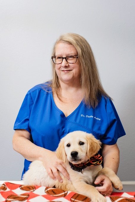 Warwick Animal Hospital - pet boarding facility in Oklahoma City, OK