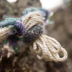 Bold Peak - rope has seen better days