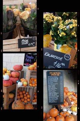 Bristol Farms by null