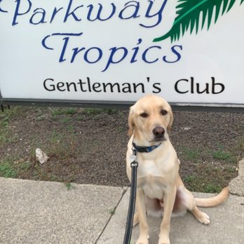 Parkway Tropics - a dog tied to a leash - Adult Entertainment Near Me - Grand Rapids, Michigan Parkway Tropics - a dog tied to a leash - Adult Entertainment Near Me - Grand Rapids, Michigan