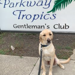 Parkway Tropics