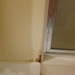 Waterscape Resort - This is significant water damage near one of the showers.