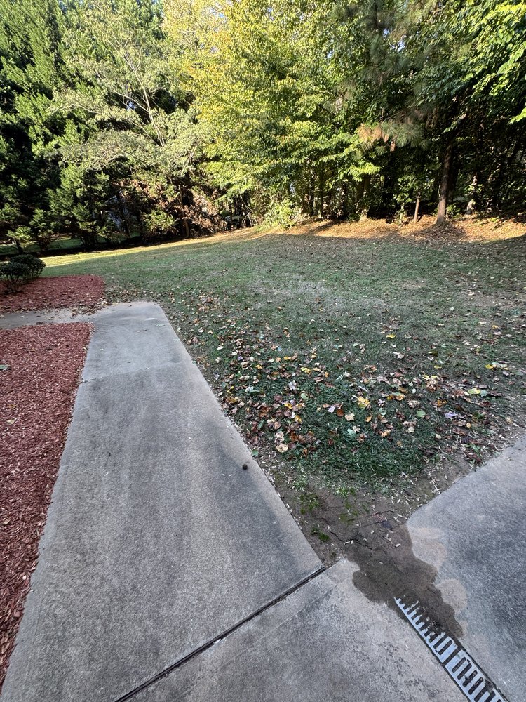 All Around Lawn Care - tree service in Reidsville , NC