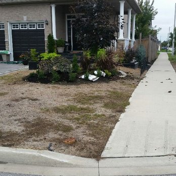 Bosco's Landscaping - This is the before pic when my clients lawn was being eaten by grubs. We treated the problem and you can see the after picture ahead. - Landscaping Near Me Bosco's Landscaping - This is the before pic when my clients lawn was being eaten by grubs. We treated the problem and you can see the after picture ahead. - Landscaping Near Me