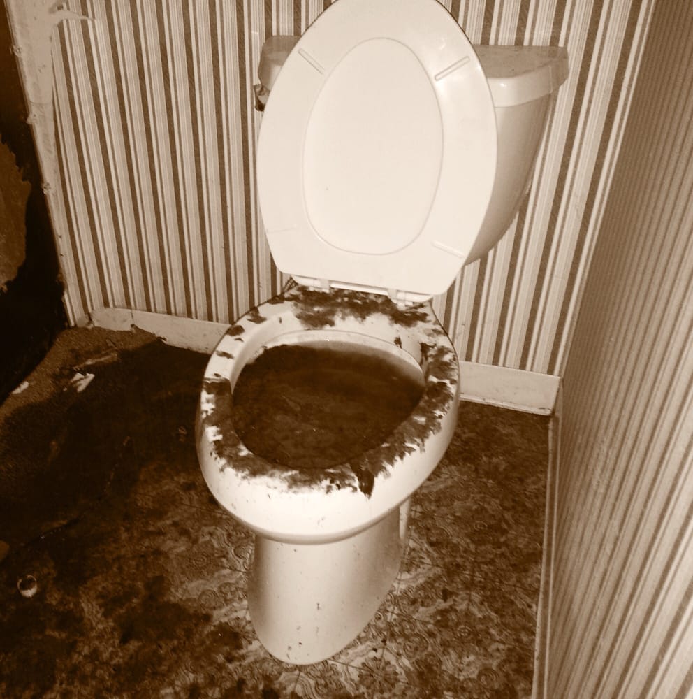 Slide of Roto-Rooter Plumbing & Drain Services