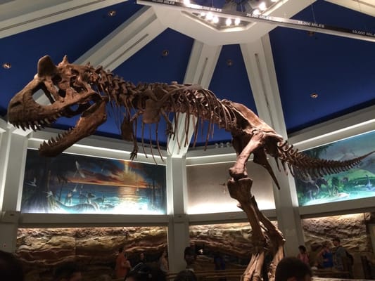 DINOSAUR by null