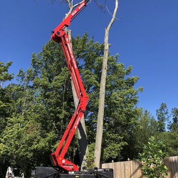 Family Tree Experts - Tree Services Near Me - Easley , South Carolina