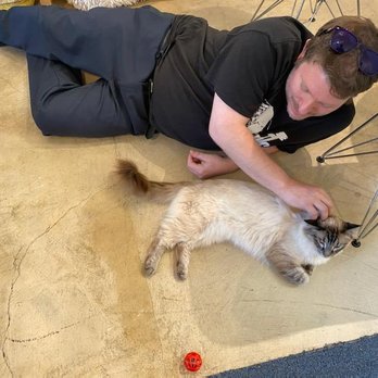 KitTea - My bf with a kitty - Pet Adoption Near Me - San Francisco, California