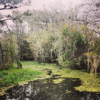 Big Cypress National Preserve - Kirby park - Parks Near Me - Ochopee, Florida
