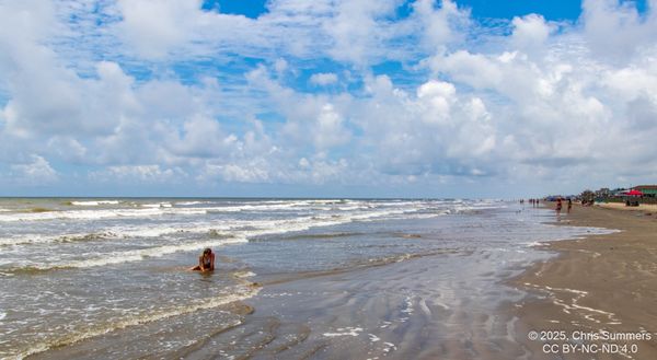Galveston Island State Park by null