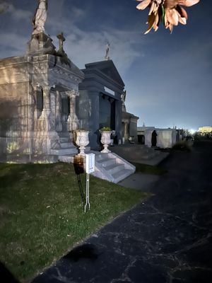 St. Louis Cemetery No. 3 by null