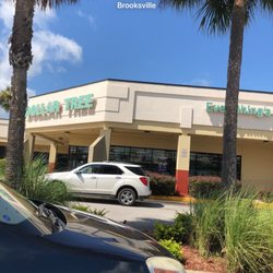 Dollar Tree Stores