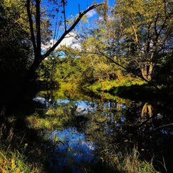 Wild River State Park