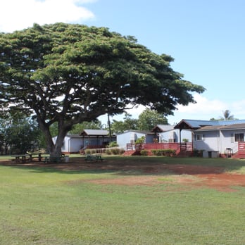 Assets School - Love the great monkey pod tree on the back field! - Elementary Schools Near Me - Honolulu, Hawaii