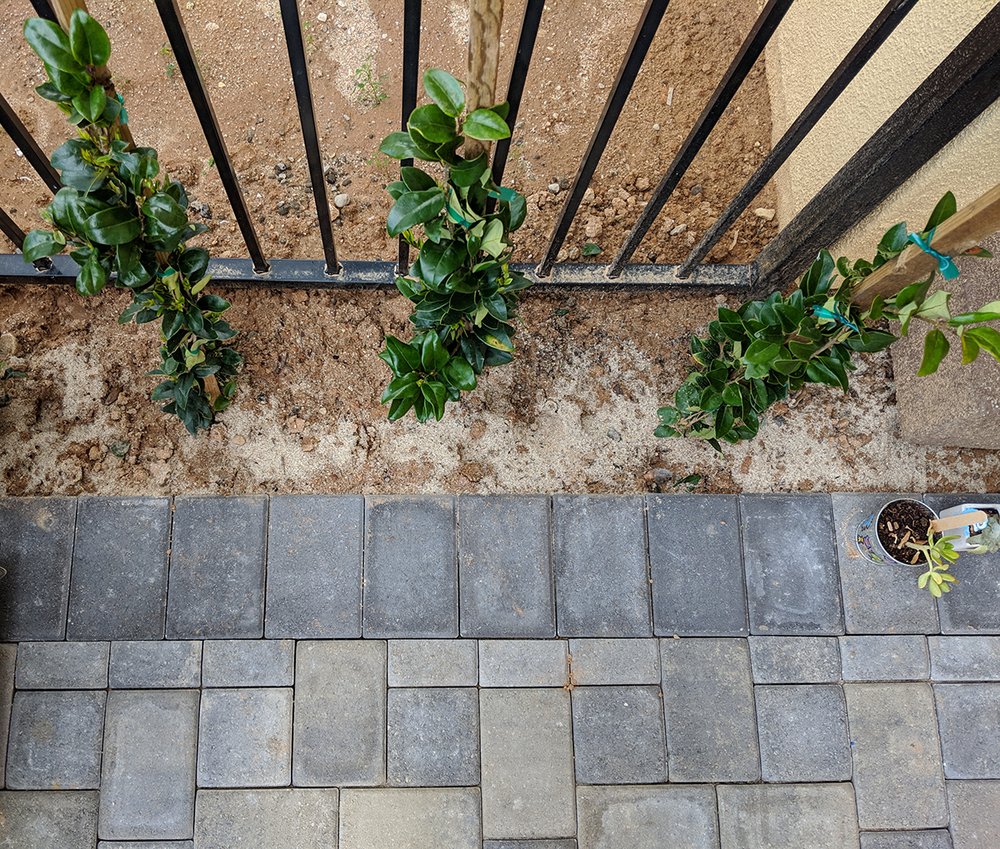 MSC LANDSCAPE SERVICES 23 Photos 15155 Gault St, Van Nuys, CA Yelp