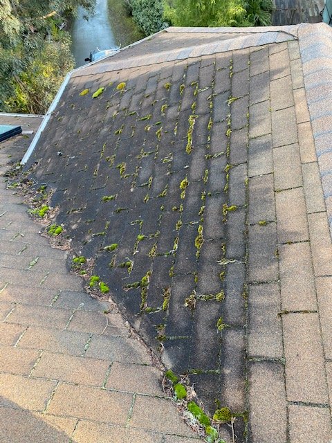 Slide of Corradini LLC Roof Restoration & Exteriors