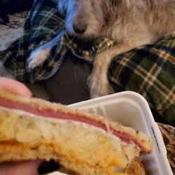 The Sandwich Club - Reuben