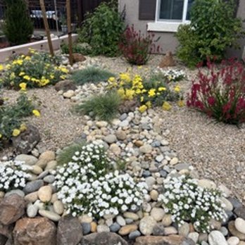 Plant Decor - Landscaping Near Me - Pleasant Hill, California Plant Decor - Landscaping Near Me - Pleasant Hill, California