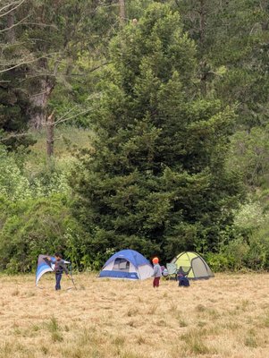 Anthony Chabot Regional Park by null