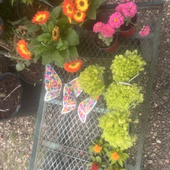 Natius Nursery - Home & Garden Near Me - Kingwood, Texas Natius Nursery - Home & Garden Near Me - Kingwood, Texas