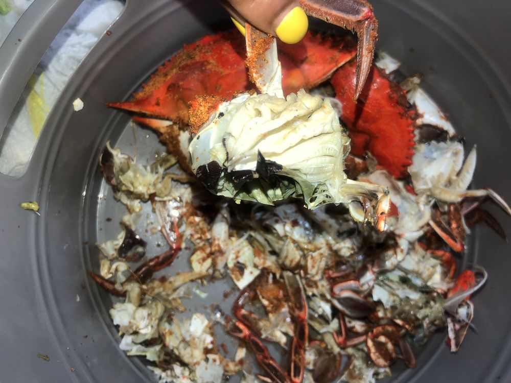 CAPT ZEAKS CRAB HOUSE & SEAFOOD 18 Photos & 22 Reviews Seafood