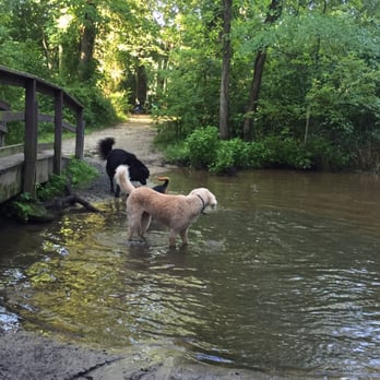 Freedom Barks Dog Park - Checking out the first body of water we came to. - Dog Parks Near Me - Medford, New Jersey