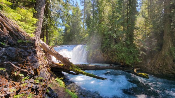 Sahalie Falls by null